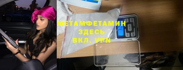 шишки Новодвинск