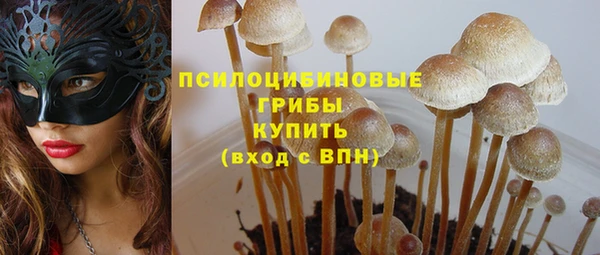 а пвп мука Баксан